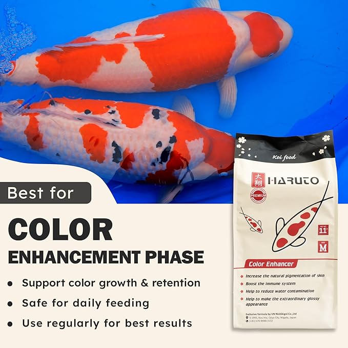 HARUTO Koi Food Color Enhancer 11lb ā Floating Pellets with Spirulina & Astaxanthin, Appearance-Focused Formula, Daily Feeding for Koi Fish Ponds