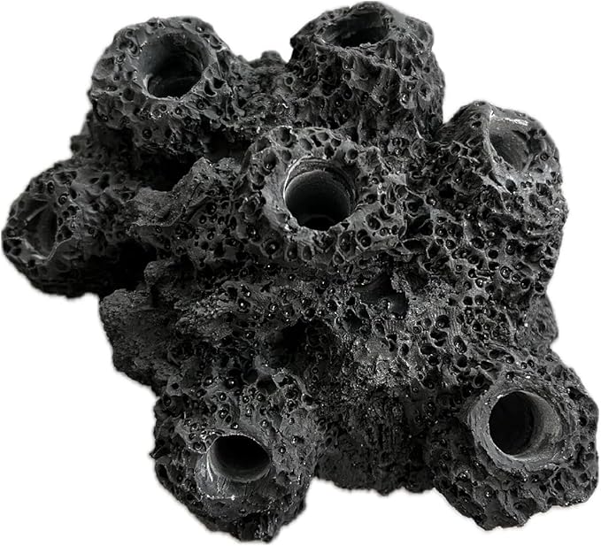 7 Hole Barnacle Cave frag Rock sandbed Base for Live Coral frag Plugs for Reef Aquariums (Black)