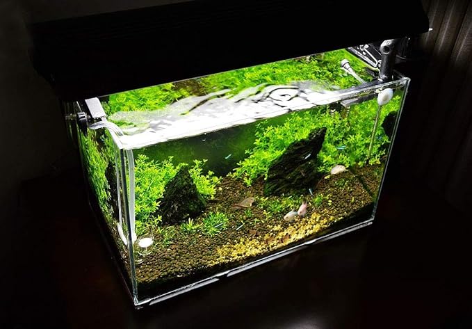 Aquarium Hood Lighting Fish Tank Light 48-60 inch Lamp for Freshwater Saltwater Marine Blue and White Decorations Light 120-150 cm