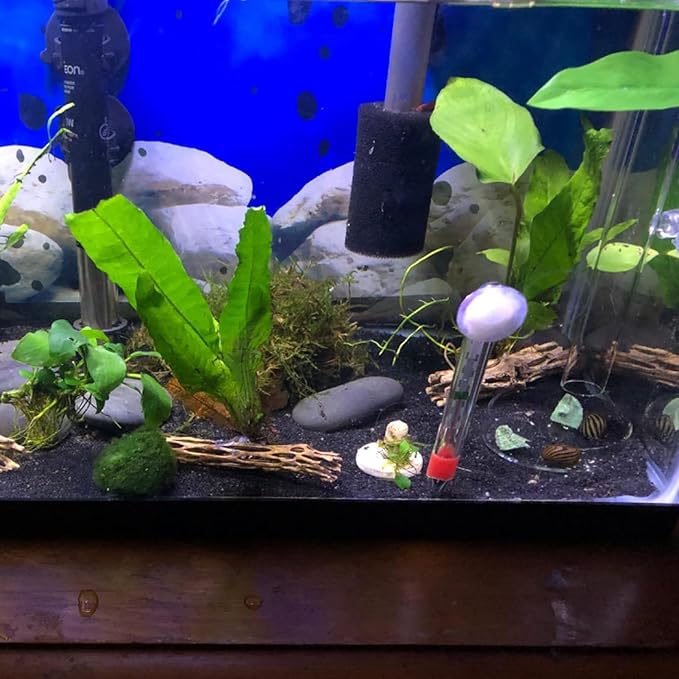 200MM Aquarium Shrimp Feeding Tube and Dish Tube Glass Fish Feeder Tube with Glass Bowl and Suction Cups for Fish Tank Aquarium Shrimp Fish Dish