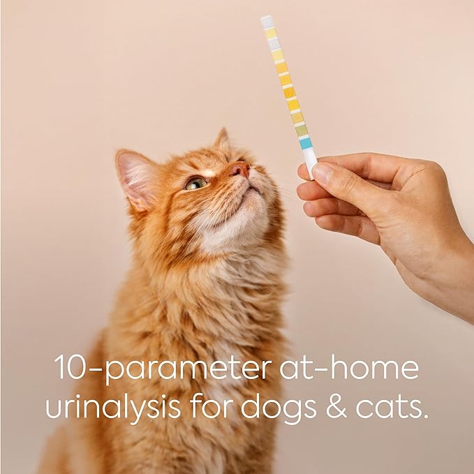 PETNOX 10-Parameter Cat & Dog Urine Test Strips - 30 x Individually Packed & Veterinary Grade Tests - Cat & Dog UTI Test Kit - Pet Test Strips for Urinalysis