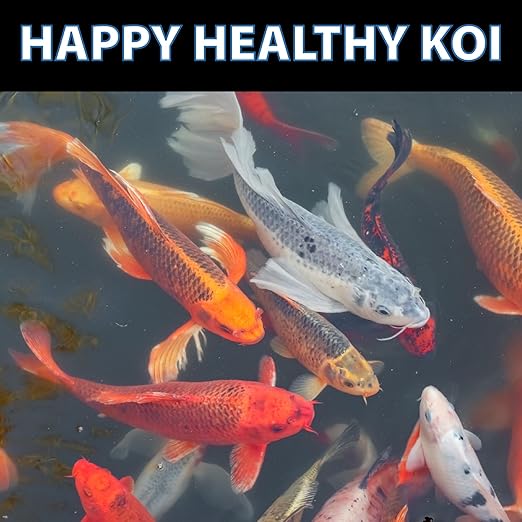 CrystalClear Knockout Plus All Natural Fish Treatment - 1 Gallon