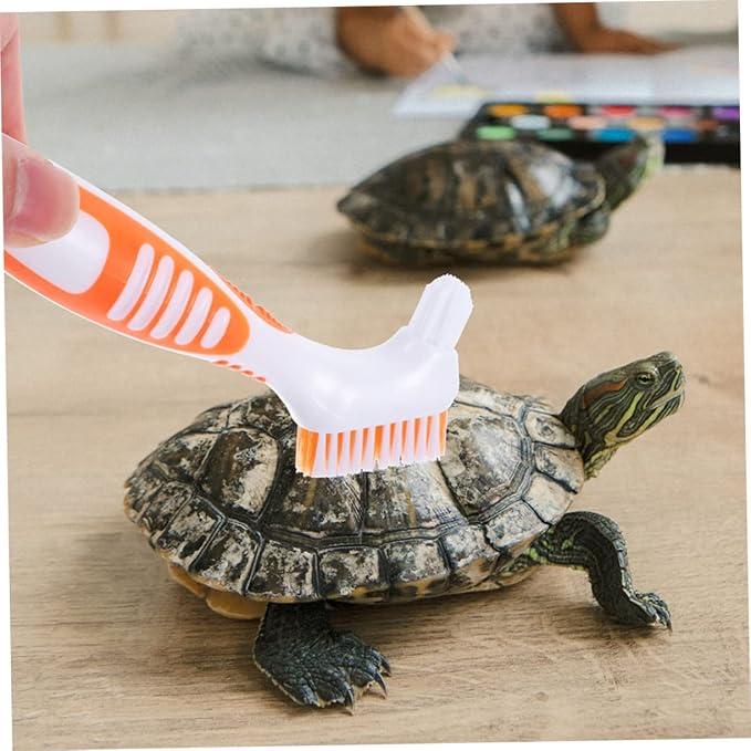 2Pcs Turtle Shell Cleaning Brush Aquatic Tortoise Mud Multi-Functional Brush with Dense Bristles for Shell Cleaning for Turtle Conch Care