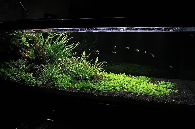 Ultum Nature Systems Controsoil - Freshwater Aqua Soil Substrate for Fish, Shrimp, Live Plant Propagation and Aquascaping - 6.8pH Low Ammonia, Volcanic Ash - Black, Normal (10 Liter)