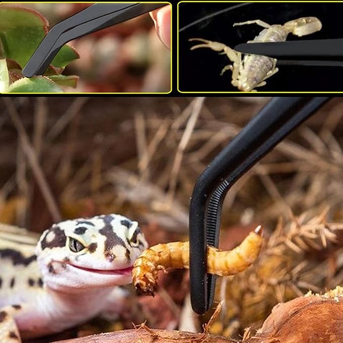 3Pcs Aquascaping Tools Kit, Long Stainless Steel Aquatic Plant Tweezers, Scrapers, Long Handle Feeder Tools for Fish Aquariums, Reptiles Snakes Lizard Gecko Spider and Bird (Black)