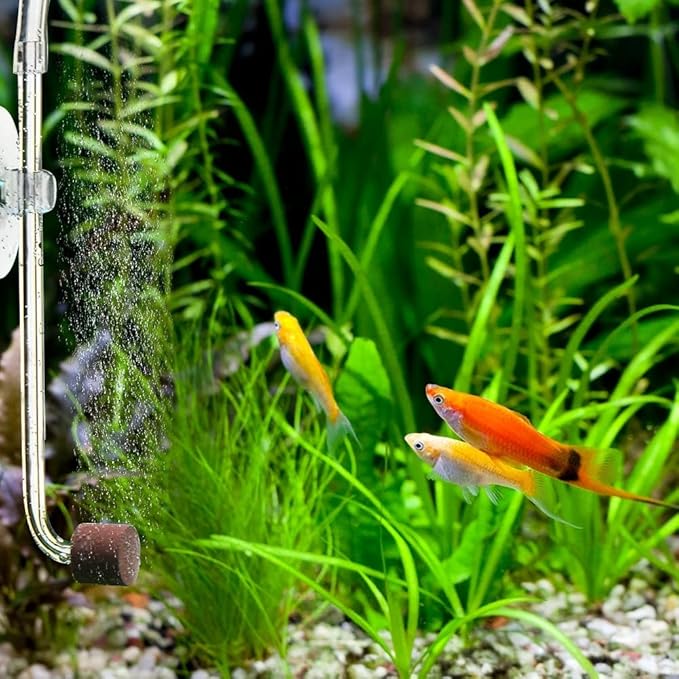 DONGKER Aquarium CO2 Diffuser,Acrylic Fish Tank CO2 Atomizer with Suction Cups for 4mm I.D. CO2 Air Tube(Up to 30cm Fish Tank)