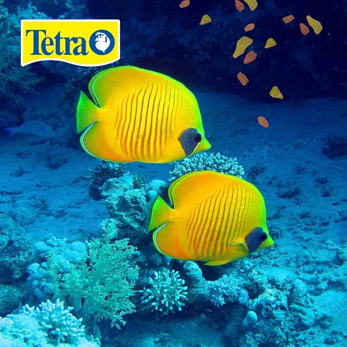Tetra 16155 Min Large Tropical Flakes For Top/Mid Feeders, 5.65-Ounce