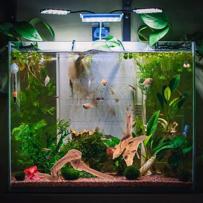 Toddmomy Aquarium Driftwood 4Pc Set 7.48In Natural Fish Tank Wood Decor for Freshwater Aquascaping Fish Cave and Hiding Spots