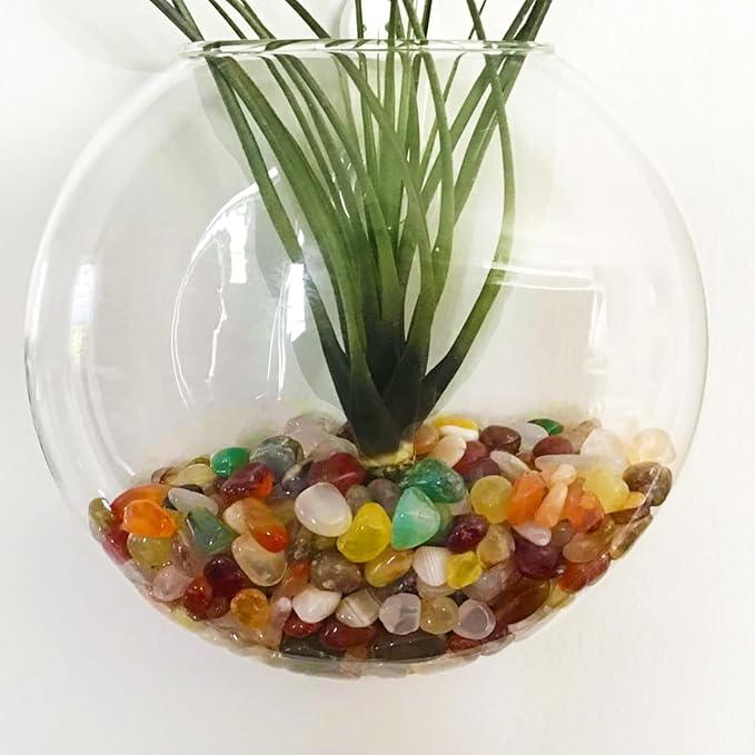 1Lb Pebbles for Indoor Plants, Vase, Succulent, Bamboo, 1/3" Plant Rocks for Pots Indoor, Small Decorative Colorful Agate Stone for Home Decor, Highly Polished