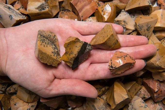 Fantasia Materials: 3 lbs Dendrite Tan Jasper Rough Stones from India