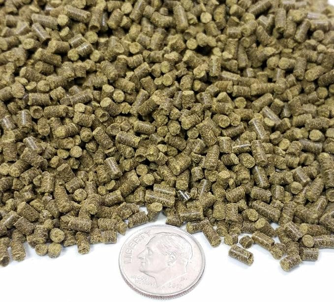 Calcium Blocks Included in These Spirulina Sinking Pellets for Shrimp, Snails, Crabs, Catfish, Plecos for All Tropical Fish 1/16" x 3/8" Pellets by Zeigler…2-lb 8oz Med Jar