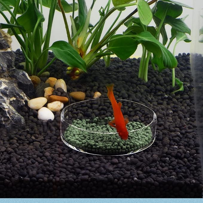 WEAVERBIRD 80mm Aquarium Shrimp Feeder Dish Glass Fish Tank Feeding Bowls Round Clear Dishes Tray