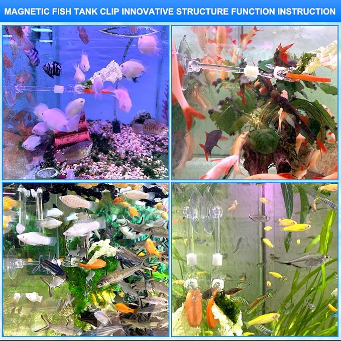 4pcs Suction Cup with Clip Aquarium Suction Cup Clips Seaweed Fish Feeding Clip Saltwater Aquarium Veggie Feeder clamp Fish Accessories (4pcs Suction Cup with Long Clip)