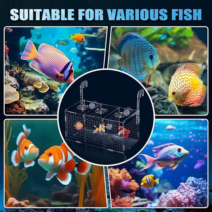 Fish Breeding Box, Acrylic Isolation Box Aquarium Hatchery Incubator with Suction Cups for Newborn Fry, Shrimp, Guppy, Clownfish, Aggressive Fish, 11.5" x 6" x 6"