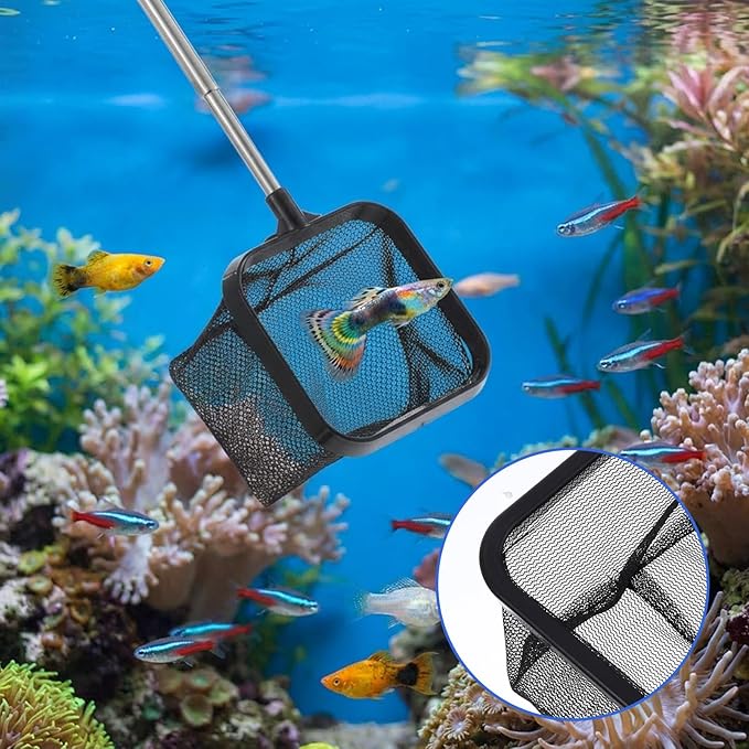Aquarium Shrimp Net, 3 PCS Small Fish Nets for Fish Tank with Long Extendable Stainless Steel Handle, 3.15 Inch Round+Square Fine Mesh Net for Fishes Shrimp Tank Pond Creek Food Residue Debris