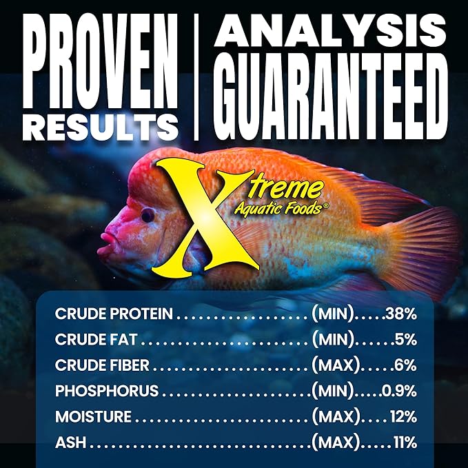 Xtreme Big Fella 3.0mm Pellets: Professional Nutrition for Medium to Large Cichlid/Community Fish - Boost Immune & Digestive Health, Color & Energy, Max Protein Fish Food β USA Farm Grown (9oz)
