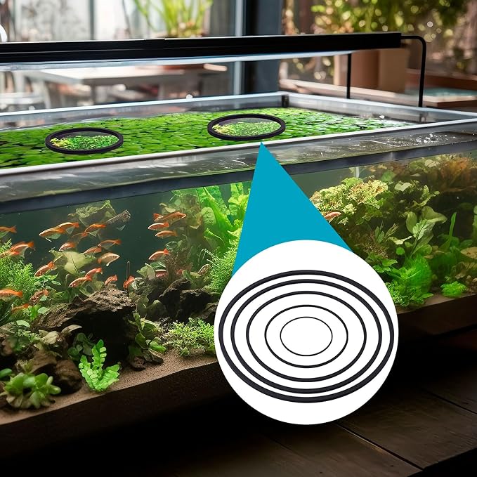 OIIKI 10 PCS Fish Feeding Rings Set - Floating Aquarium Plant Corral, Oval Rings, Tank Accessories - Black, 5 Sizes