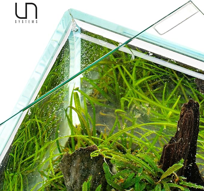 Rimless Glass Tanks – Ultum Nature Systems