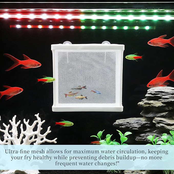 MY MIRONEY 6.3" x 5.63" x 6.22" Fish Incubator Mesh Box Aquarium Breeder Box White Nylon Mesh Juvenile Fish Separation Net Fry Hatchery with Suction Cups Pack of 2