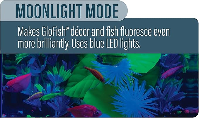 GloFish LED Light 5 Gallons, Blue and White LED Lights, for Aquariums Up to 5 Gallons, Model:29028