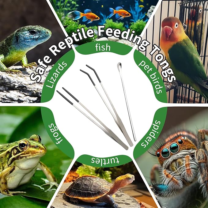 3PCS Reptile Feeding Tongs with Rubber Tips, 10.6" Stainless Steel Tweezers & Spoon Set with Storage Bag for Bearded Dragons, Geckos, Turtles, Tank Accessories