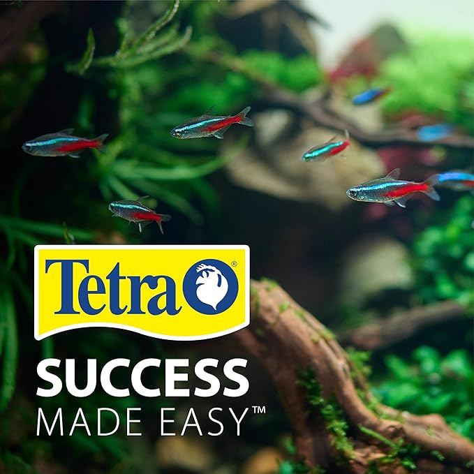 Tetra 20-29 Gallon Fish Tank Stand, Easy to Assemble in Less Than 1 Minute, No Tools Required, Water-Resistant Wood Stand for Freshwater and Saltwater Aquariums, Sturdy Stand Designed for Durability