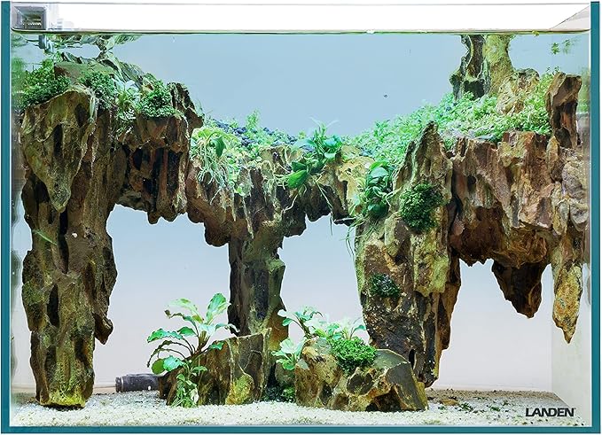 Landen 60P 23 Gallon Rimless Low Iron Aquarium Tank, W23.6×D15.7×H15.7 in(60x40x40cm) 8mm Thickness
