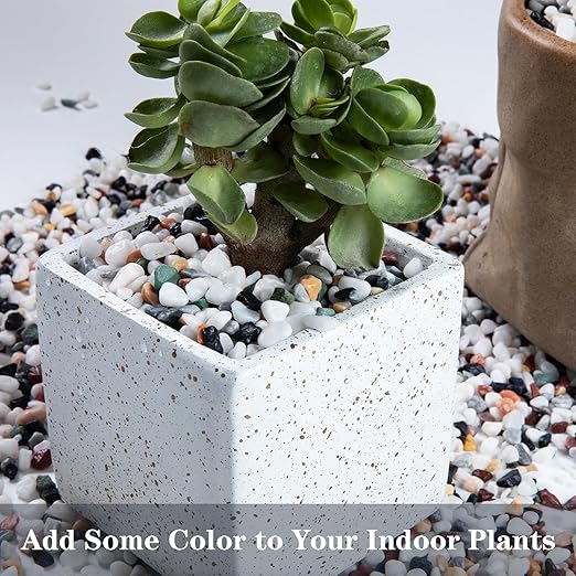 5lb Pea Silica Gravel Decorative Rocks, No Wax Pebbles Ideal for Fish Tank, Vases, Succulents, Home Decor and Garden Landscaping, Countryside Silica Gravel