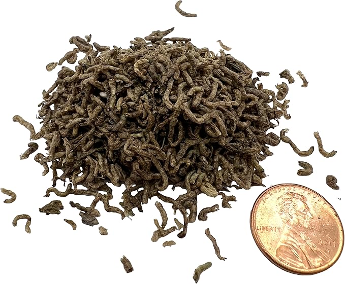Aquatic Provisions Blood Worms 2.5 oz, Freeze Dried Fish Food for Freshwater and Marine Aquarium Species