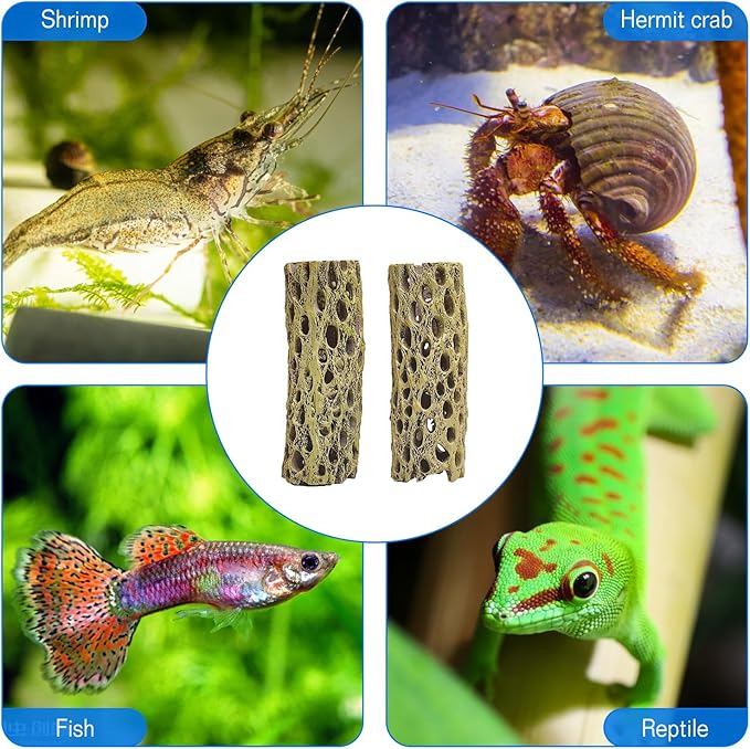 kathson Resin Cholla Wood Aquarium Shrimp Hideout Fake Fish Tank Hollow Log Hideawy Reptile Climbing Corner Branch Hermit Crab Terrarium Ornament Decoration (2 Packs)