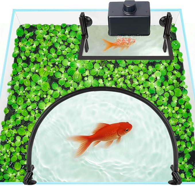 Aquarium Floating Plant Corral, Floating Plant Barrier with Suction Cups, Self-Adjusting Height for Water Level Changes, Helps Keep Floating Plants Away from Filter Flow, for Framed/Frameless Tanks