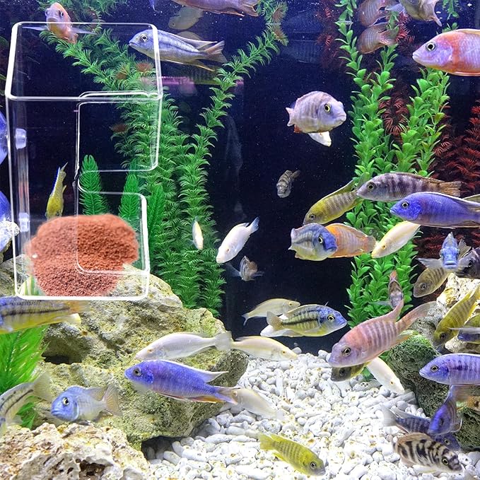 2pcs Fish Feeder for Aquarium, Transparent Fish Tank Dish Tray with Suction Cup Floating & Sinking Food Container Holder Dispenser for Turtle Shrimp Feeding (Circle & Square)
