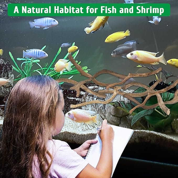 kathson Natural Driftwood for Aquarium, Red Moor Driftwood Mix 12''-16'' Long Driftwood for Decorations Aquarium Driftwood Assorted Shapes Natural Aquarium Decor Driftwood (500g, Coarse Branches)