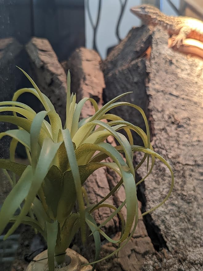 Josh's Frogs Arid Artificial Plants for Reptiles (Tillandsia)