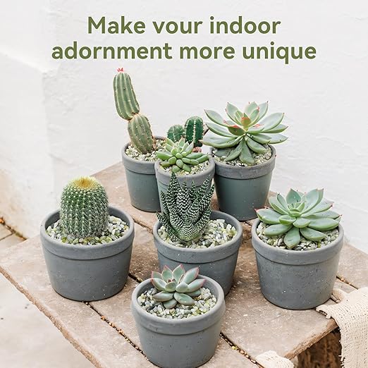 Pulovin 5LB Succulent and Cactus Pebbles, 1/5 Inch Jade Pebbles for Indoor Plants, Decorative Gravel for Vases, Bamboo, Succulent, Terrarium, Crafts, Cactus