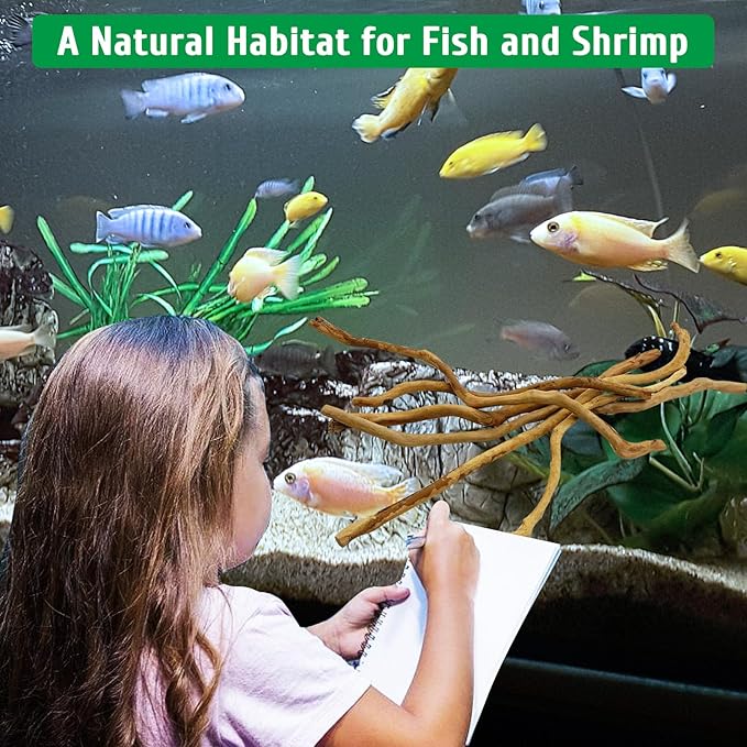 kathson Natural Driftwood for Aquarium, Red Moor Driftwood Mix 12''-16'' Long Driftwood for Decorations Aquarium Driftwood Assorted Shapes Natural Aquarium Decor Driftwood (150g, Delicate Branches)