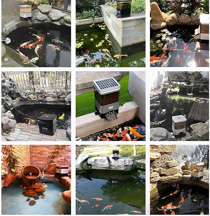 Automatic Pond Fish Food Dispenser, Auto Timed Koi Pellet Feeder, 10 L Large Capacity Support WiFi and Solar Panel Charging for Pond Indoor & Outdoor, Animal-Proof(Silver)
