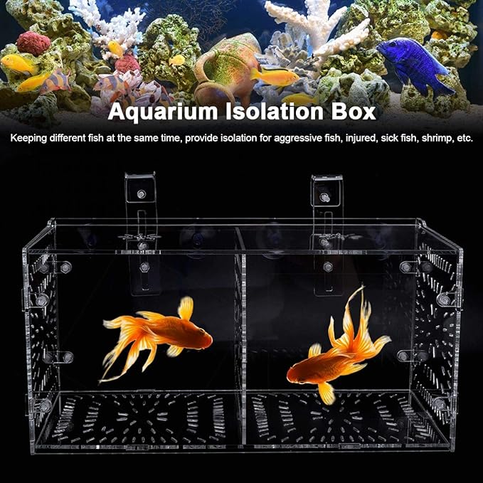 Aquarium Breeder Box for Fish Tank, Fish Breeding Box Tank Hatchery Incubator Aquarium Isolation Box for Seedlings Incubation(M)
