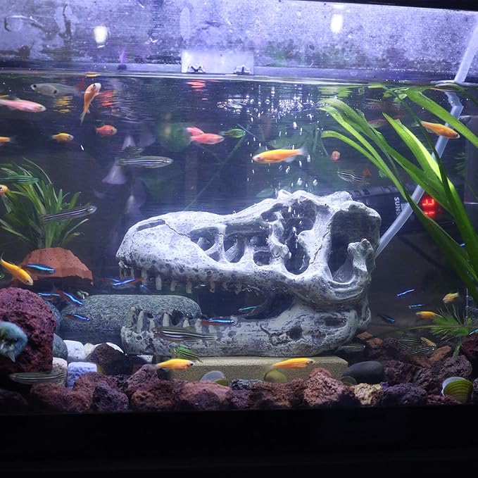WishLotus Skull Aquarium Hides Decor, Resin Crocodile Fish Hideout for Little Shrimp Betta Goldfish and Reptiles (Crocodile Head)
