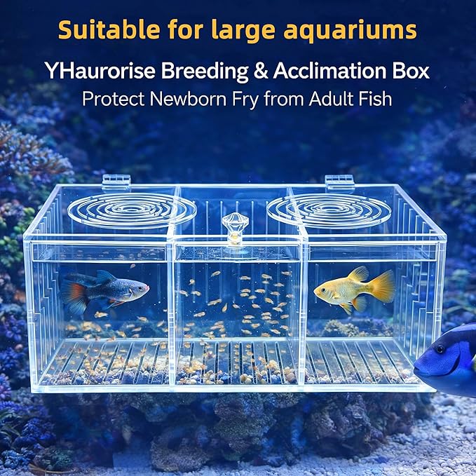 Acrylic Breeding Box Fish Trap Aquarium Container, Acclimation Isolation for Tank Breeder Separator for Fish