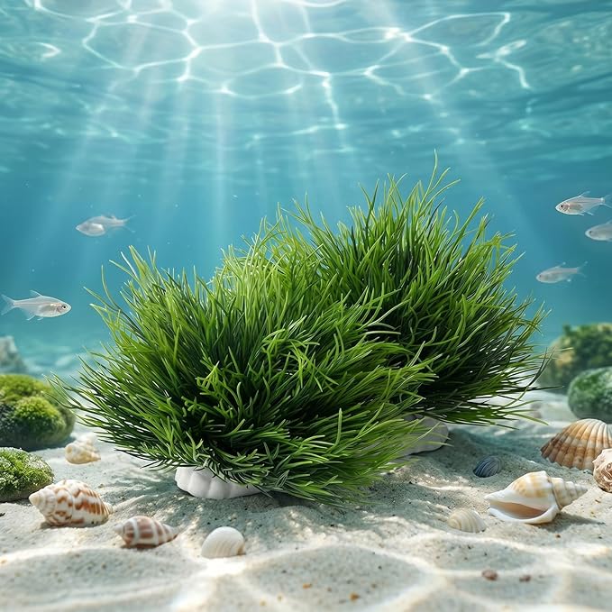 2Pcs Aquarium Décor Plastic Plants for Fish Tank, Green Natural Plastic Aquarium Plants, 3.5inch Fake Grass Ornament Plastic Artificial Plant Goldfish Waterscape Fish Hides Mini Grass Set