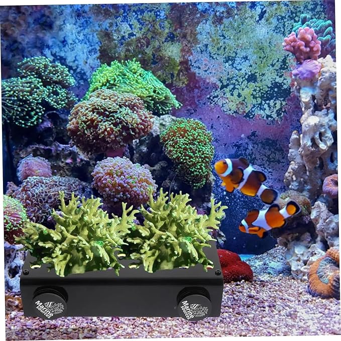 Marine Sources Aquarium Clear Acrylic Coral Frag Plugs Rack Holder SPS Coral Support Seawater Fish Tank Accessories Magnetic (CRB-M-R32)