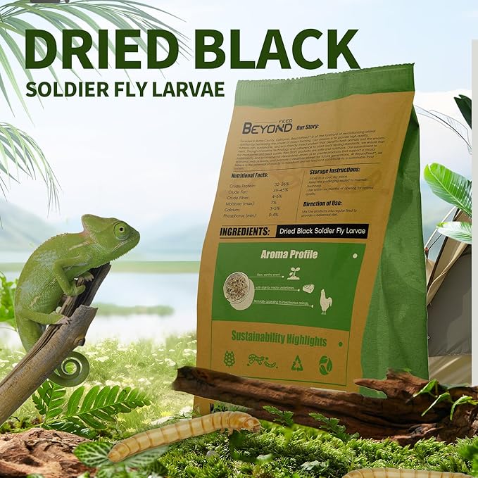 BeyondFeed™ Premium Dried Black Soldier Fly Larvae - High Calcium Supplement for Stronger Eggshells & Molting Recovery - Whole, Large Grubs (Superior to Mealworms) for Chickens, Ducks & Reptiles