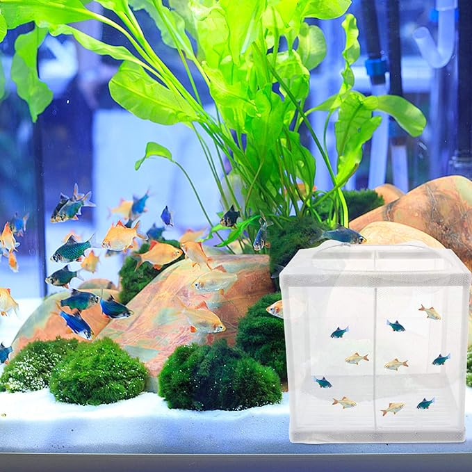 2Pcs Aquarium Fish Hatchery Box Tank Guppy Breeding Net Breeding Tank Baby Fish Separator for Baby Shrimp Guppy Clownfish