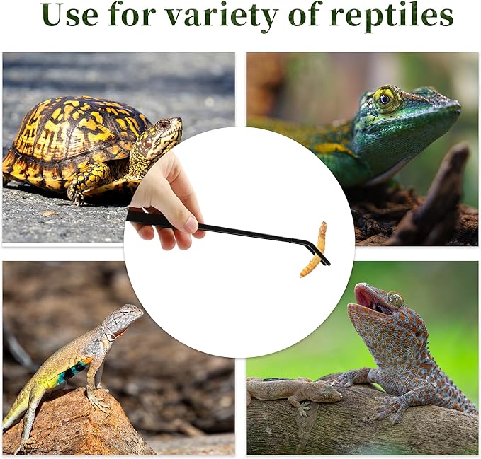 Reptile Feeding Tongs, Stainless Steel Lizard Feeding Tongs, Aquarium Curved Feeding Tweezers for Reptiles with Rubber Tip, Terrarium Feeding Tongs for Gecko, 10.63" Length, Black