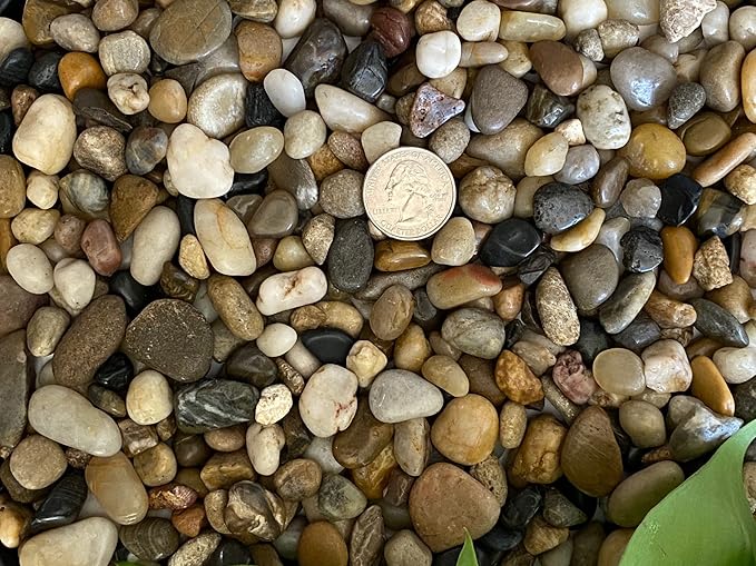 Rocks for Plants. Mixed Colors Decorative Polished Pebbles. 3/8 Inch – 10 lbs for Plants, Garden, Landscaping, Succulents, pots, Plants (XSM (0.375 Inch), Mixed Color - Polished, 10)