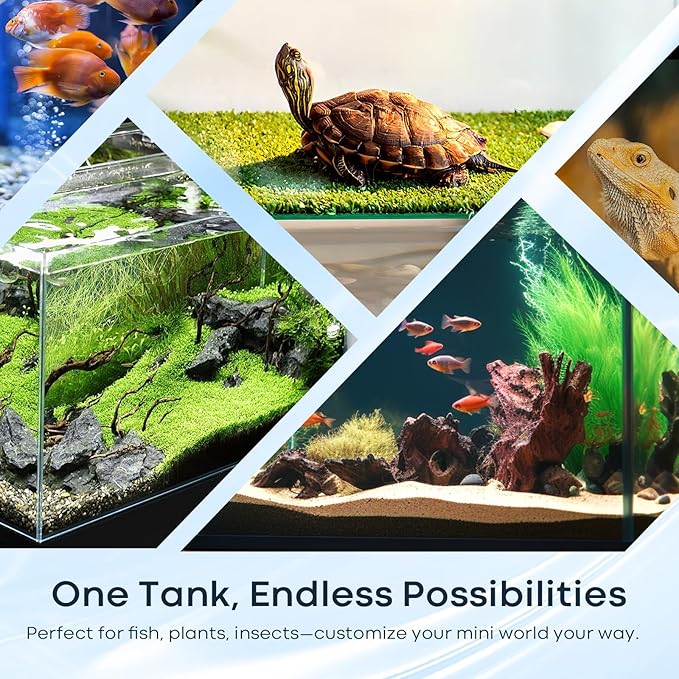 3 Gallon Glass Fish Tank Cube with Open-Back Lid, Small Aquarium Fish Bowl for Betta Goldfish Snails Shrimp Aquatic Planting, Ultra Clear Rimless Design for Desktop Small Spaces