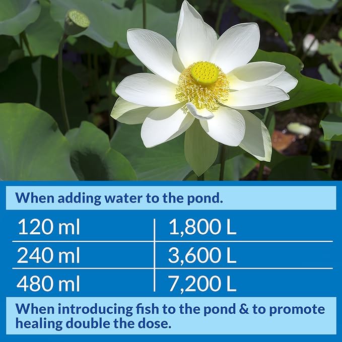 API POND STRESS COAT (16 fl oz) Pond Water Conditioner - Quickly Makes Tap Water Safe for Fish & Plants - Up to 1920 Gallons - Removes Chlorine, Ammonia & More - Natural Aloe Vera