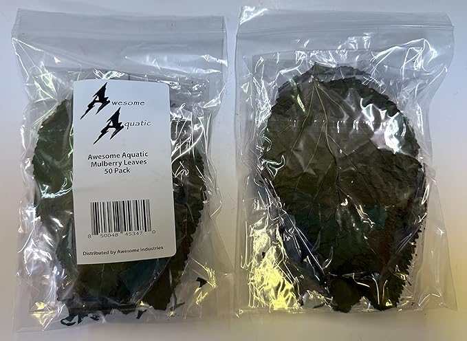 Awesome Aquatic Mulberry Shrimp Leaves Natural Botanical Leaf Food Organic Treat Aquarium Fish Shrimp Terrarium High Protein Vitamin Mineral Fiber Healthy Habitat Environment (Mulberry 50 pk)