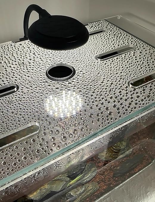 5mm Acrylic Aquarium Cover - Non-Jump Fish Tank Lid for Turtle, Arowana - Blocks Cats & Debris(23.6x7.9in/60x20cm)